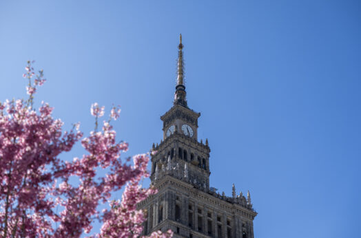 Warsaw, Poland - April 03, 2025: The Palace of Culture and Science in Warsaw rises behind vibrant cherry blossom branches under a bright blue spring sky, combining historic architecture