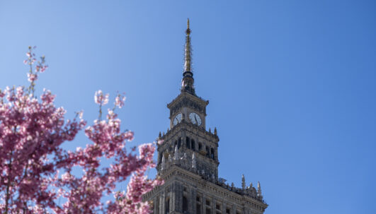Warsaw, Poland - April 03, 2025: The Palace of Culture and Science in Warsaw rises behind vibrant cherry blossom branches under a bright blue spring sky, combining historic architecture
